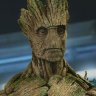 Groot