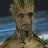 Groot