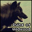 Ruins of Wildwood